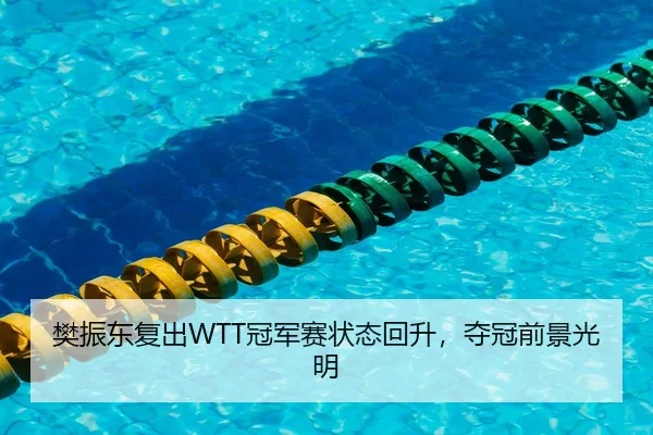 樊振东复出WTT冠军赛状态回升，夺冠前景光明 - PG